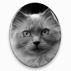Photo porcelaine ovale verticale - Médaillon photo noir et blanc Chien, Chats...