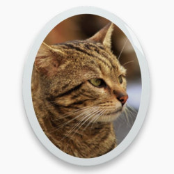 Photo porcelaine ovale verticale bordure blanche - Médaillon photo couleur Chien, Chats...