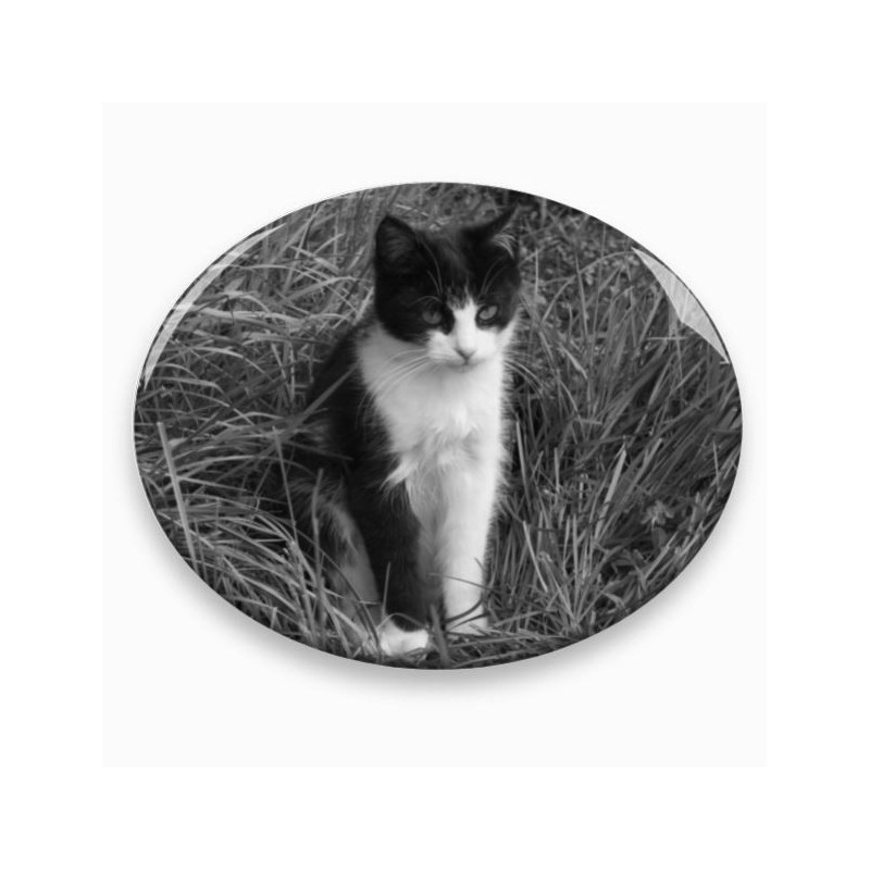 Photo porcelaine ovale horizontale - Médaillon photo noir et blanc Chiens chats..