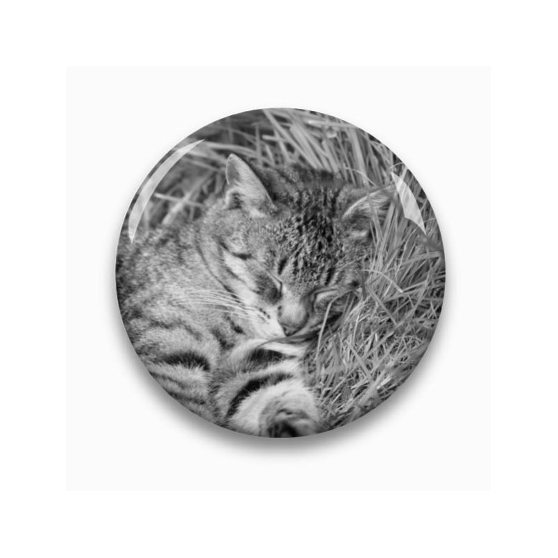 Photo porcelaine ronde - Médaillon photo noir et blanc Chien, Chats