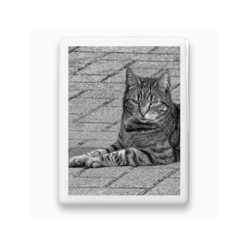 Photo porcelaine rectangle bordure blanche- Médaillon photo noir et blanc Chien, Chats