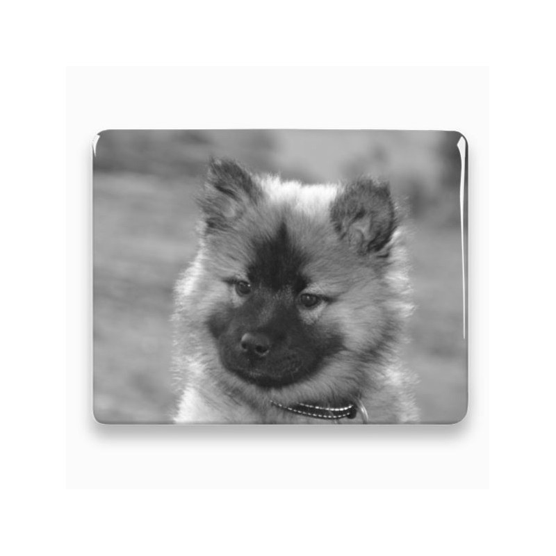 Photo porcelaine rectangle horizontale - Médaillon photo noir et blanc Chien, Chats