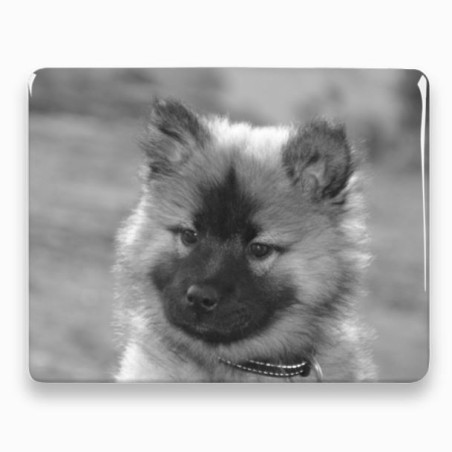 Photo porcelaine rectangle horizontale - Médaillon photo noir et blanc Chien, Chats