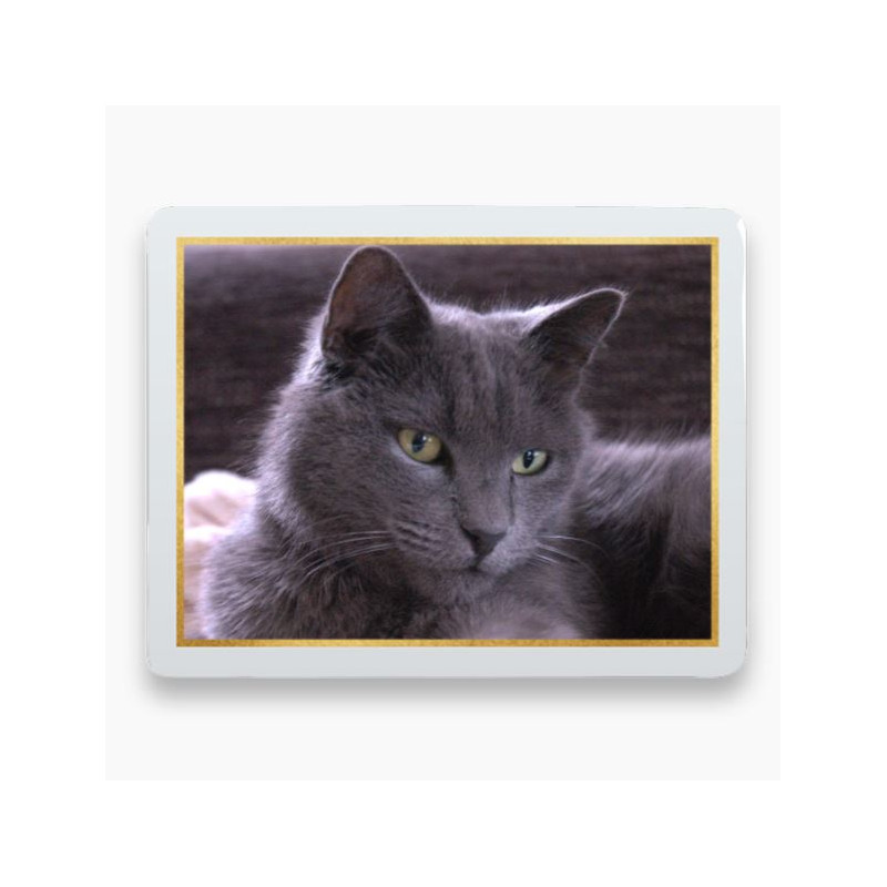 Photo porcelaine rectangle horizontale filet or - Médaillon photo couleur Chien, Chats