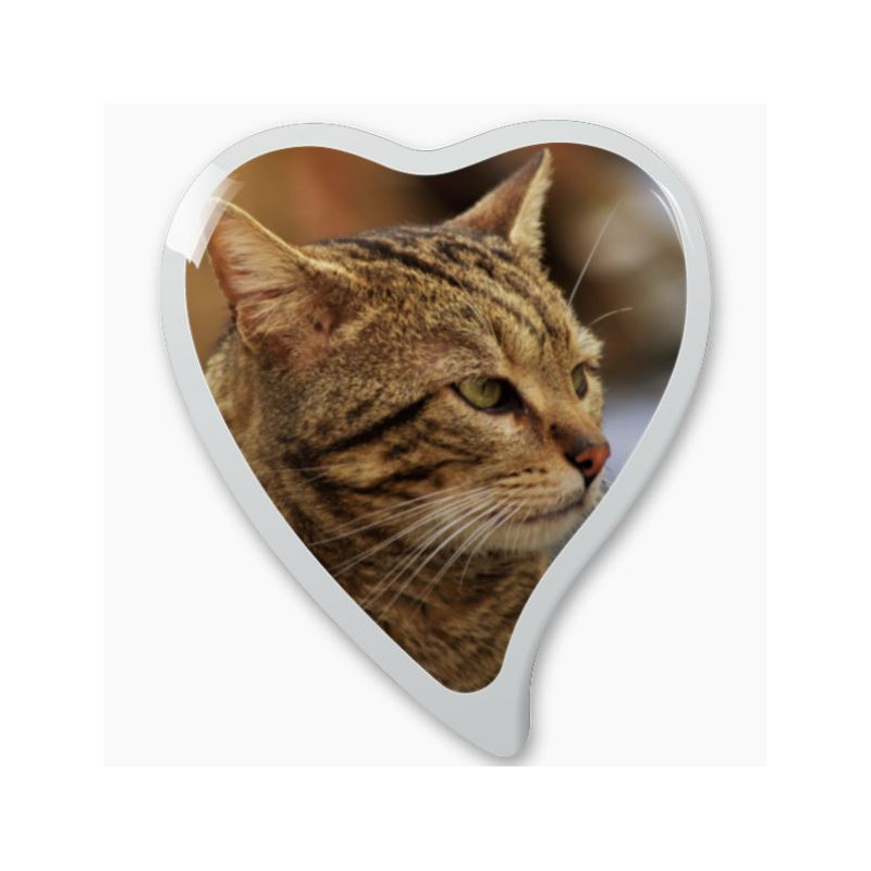 Photo porcelaine grand coeur bordure blanche - Médaillon photo couleur Chien, Chats